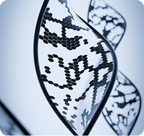 Transform operational data into actionable execution.